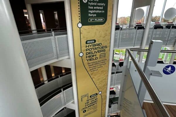 Hangende signbanner met Potato Days visuals van HZCP als onderdeel van eventaankleding door DOX